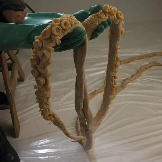 Giant squid, photo 3 of 3